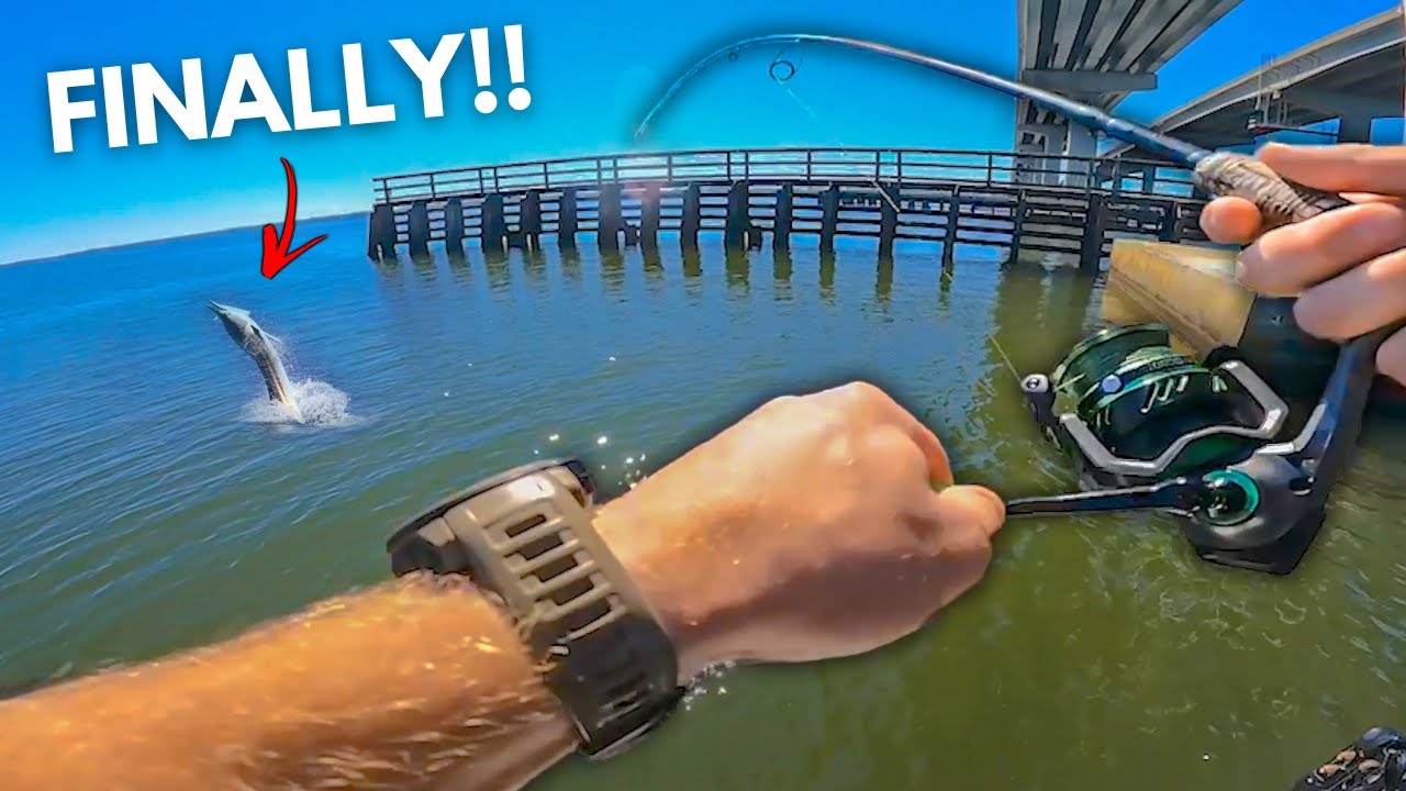 I FINALLY Caught This BUCKET LIST Fish ( multiple new PBs )