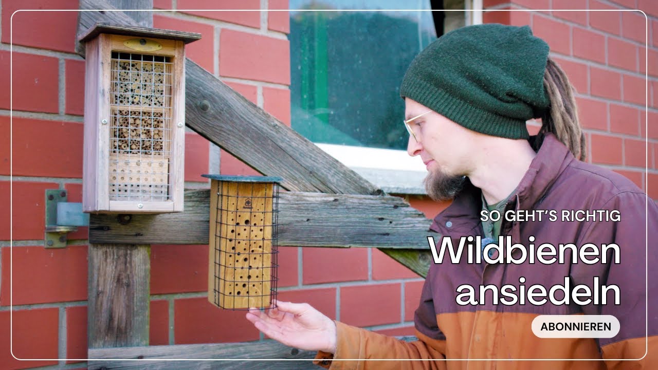 Bienen ansiedeln im Garten! 🏡 Aufbau & Tipps für's Bienenhotel
