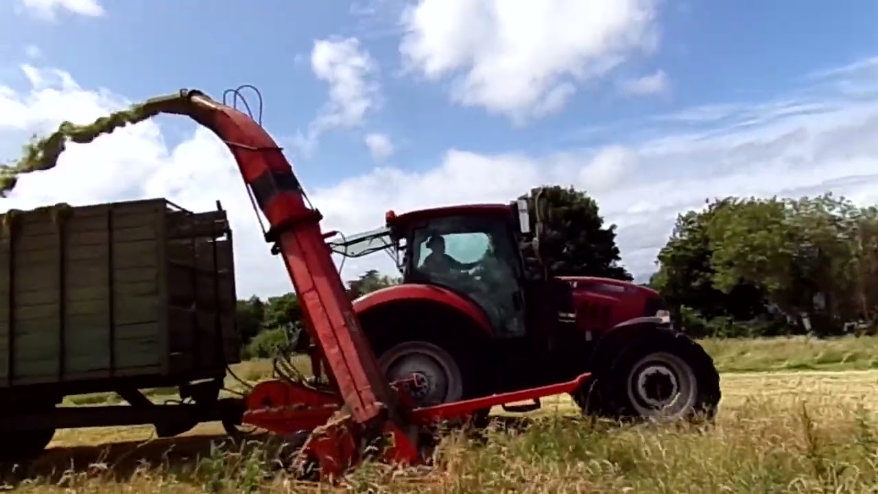 NC Single Chop SILAGE HARVEST part 2