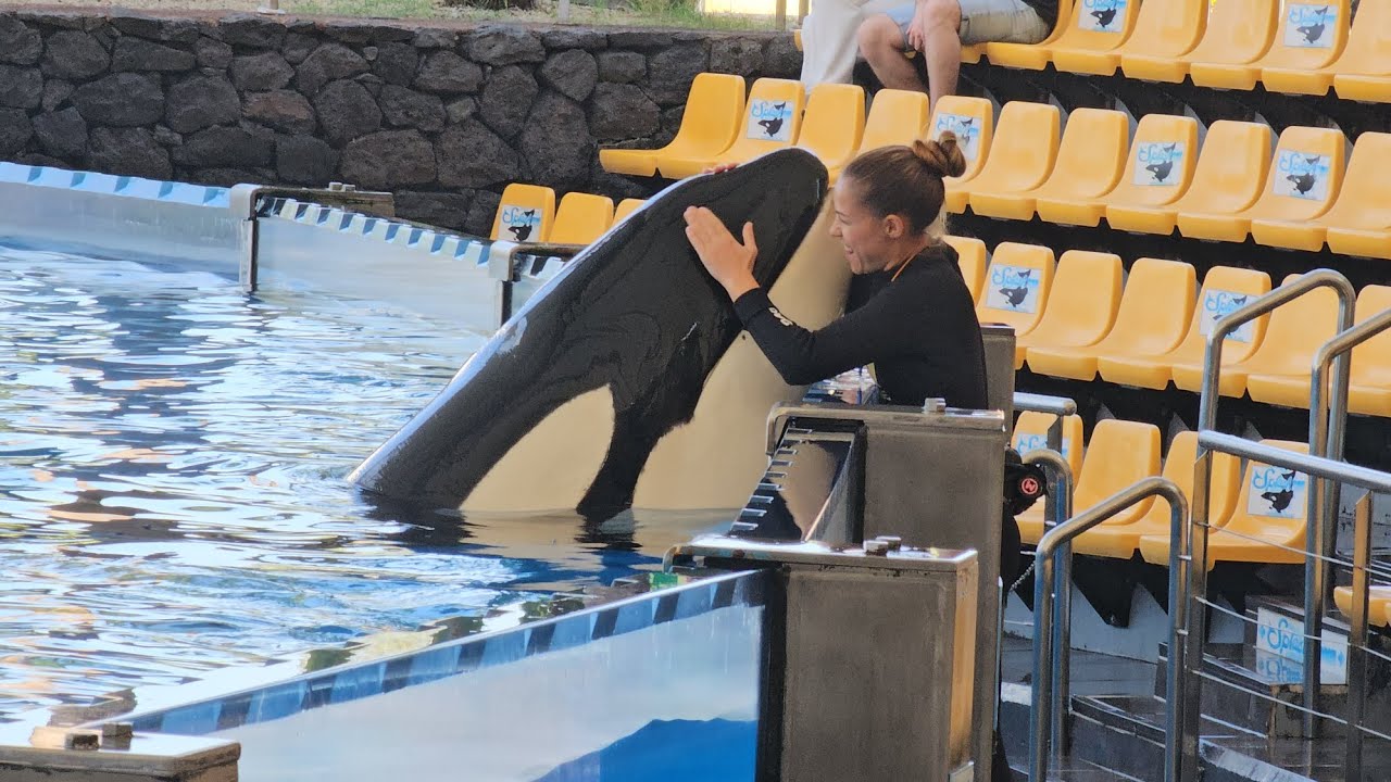 Adán & María 💖 Loro Parque, OrcaOcean, 18.02.2024