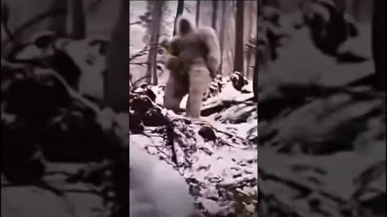 Yeti falling down hill 🤣 #shorts