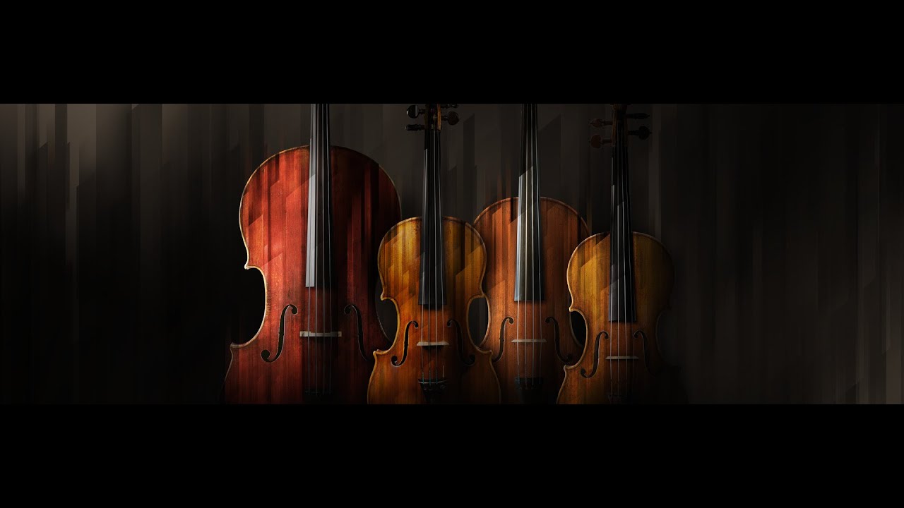 Koncert Gudačkog komornog orkestra Muzičke akademije, 11.5.2021.