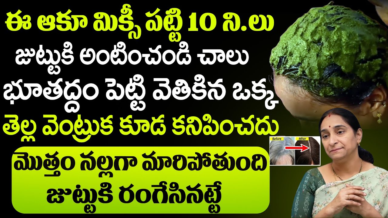 Hair Regrowth Tips By Ramaa Raavi   Blacken Your Hair Easily