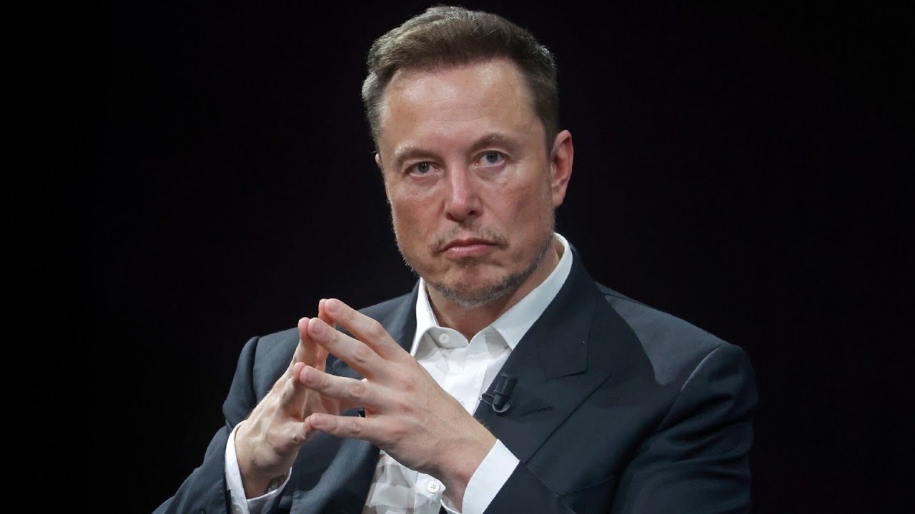 Elon Musk &lsquo;right at the forefront&rsquo; of AI danger awareness