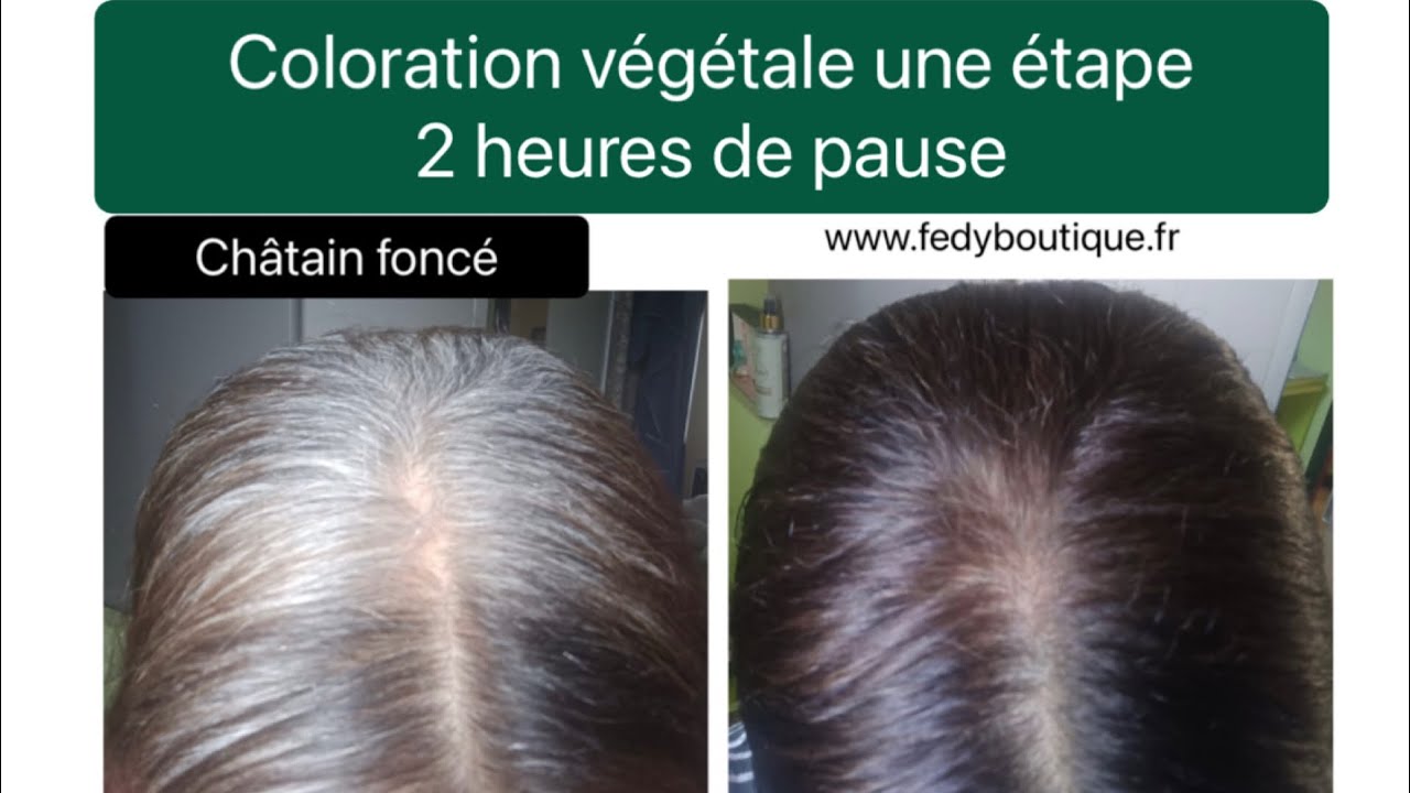 Coloration végétale une étape 2 heures de pause pour cacher les cheveux blancs 🌱