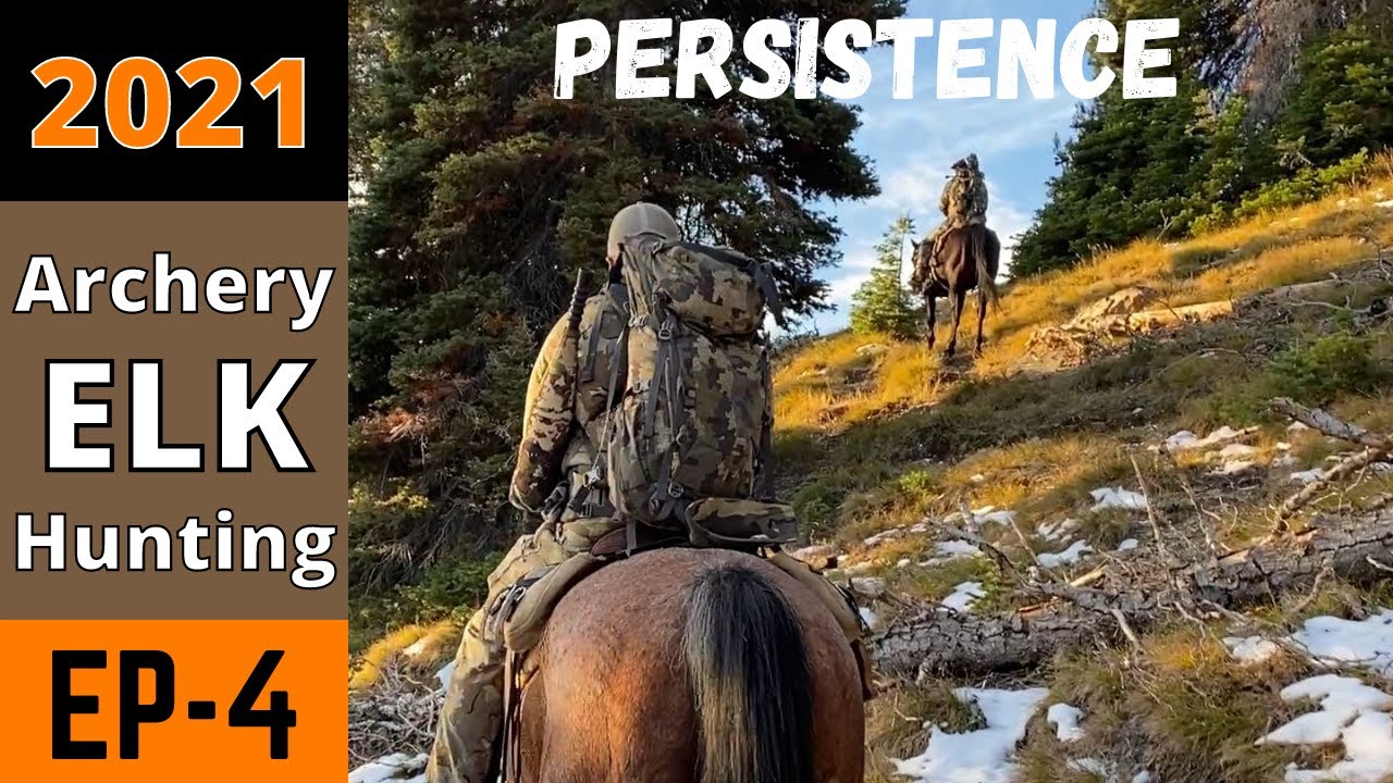 2021 Archery Elk Hunting Part 4 - Persistence