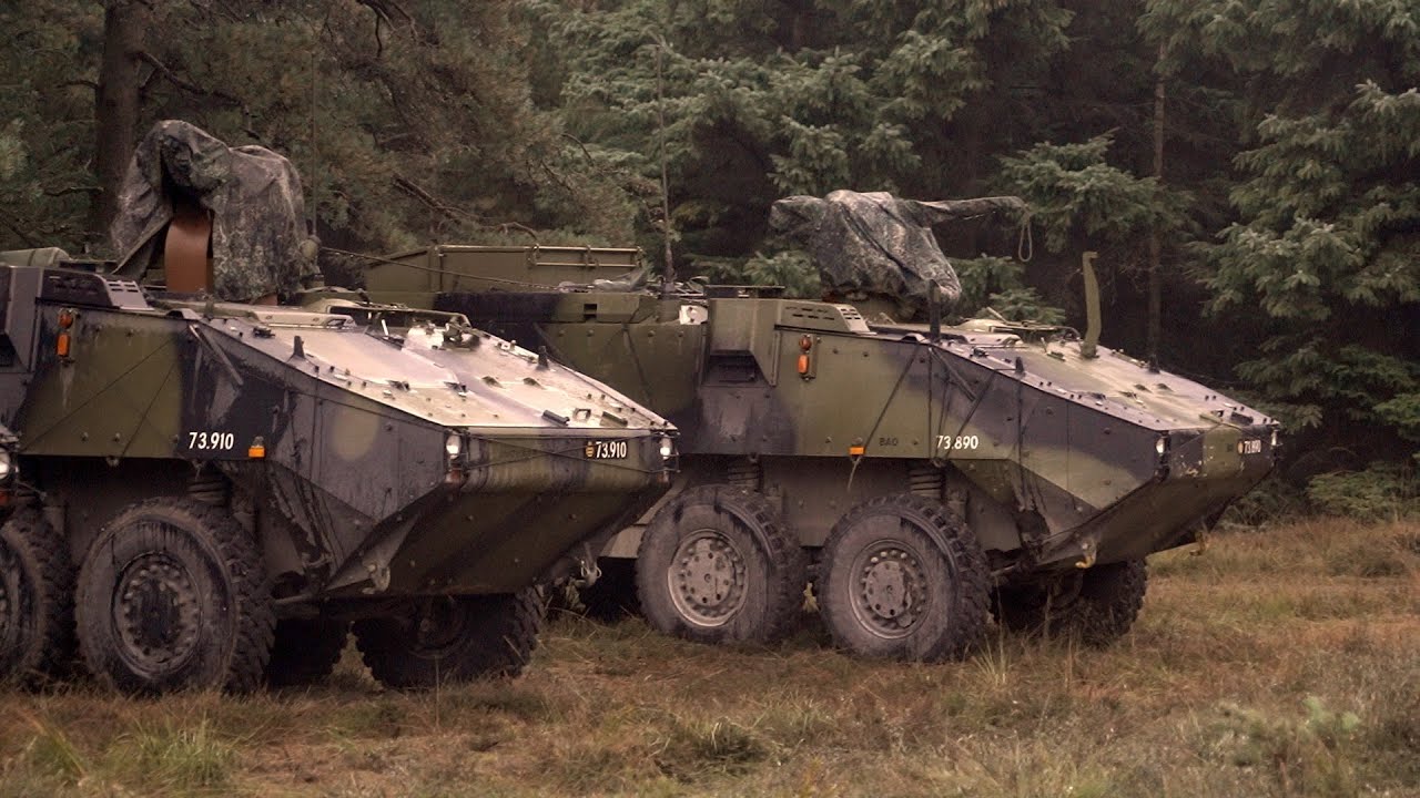 Denmark sends Piranha III armored personnel carriers  and M113 G3 to Ukraine