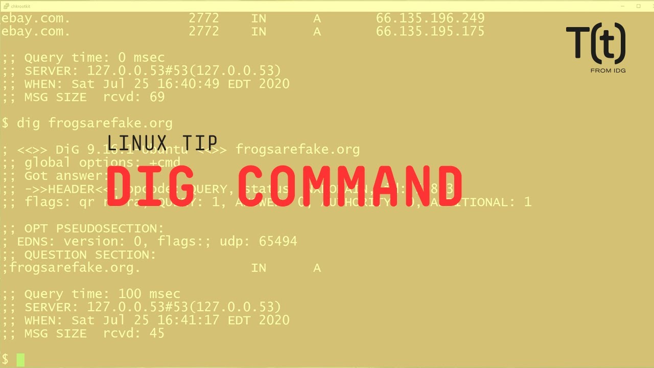 How to use the dig command: 2-Minute Linux Tips