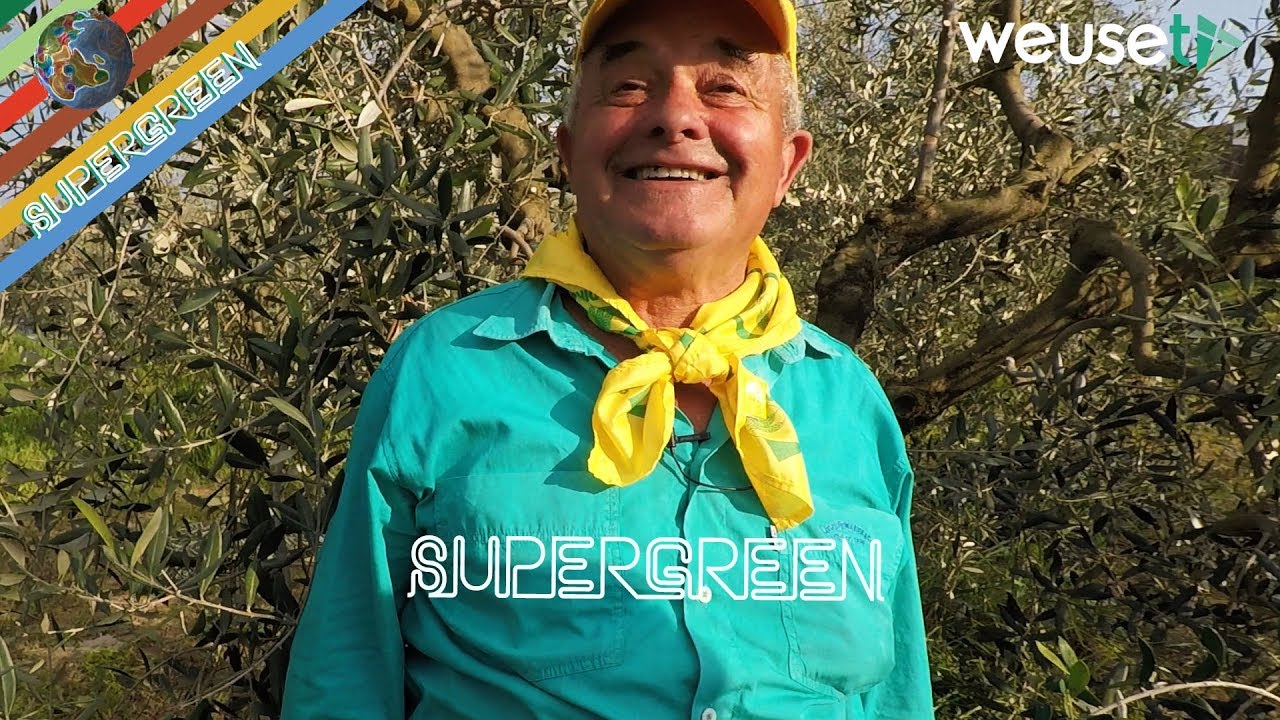 Antico trucco per aumentare la produzione dell'olivo con Fernando, esperto rabdomante e apicoltore