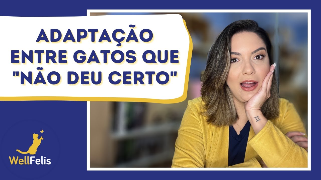 Adaptação entre gatos que 