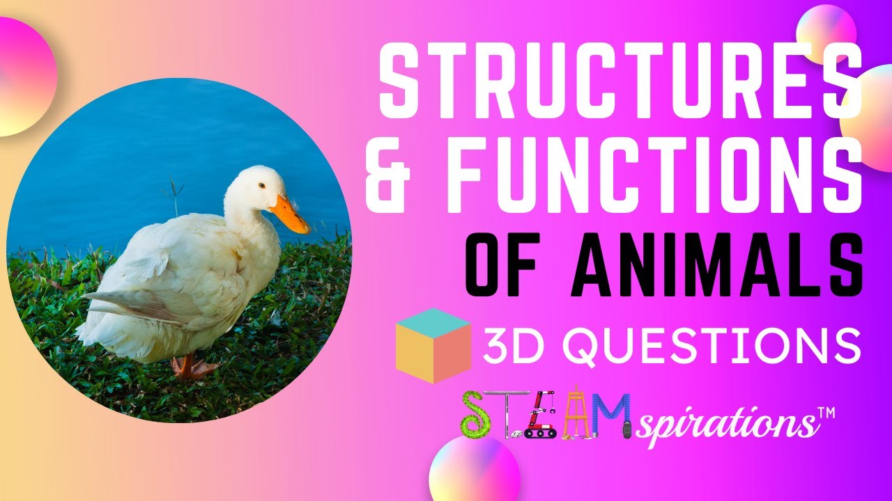 How Structures and Functions Help Animals and plants