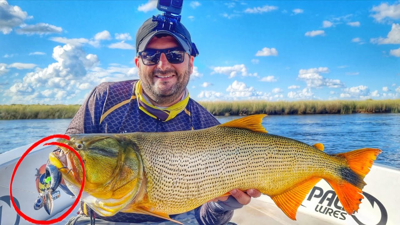 ESSE RIO É UMA COVARDIA! Inacreditável a quantidade de ação e peixe que se pega aqui! Pescaria