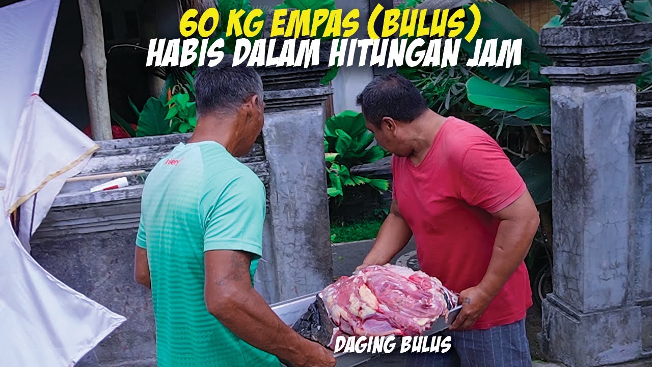 SEKALI BUKA HABIS 60 KG LAWAR PLEK EMPAS! HITUNGAN JAM UDAH LUDES