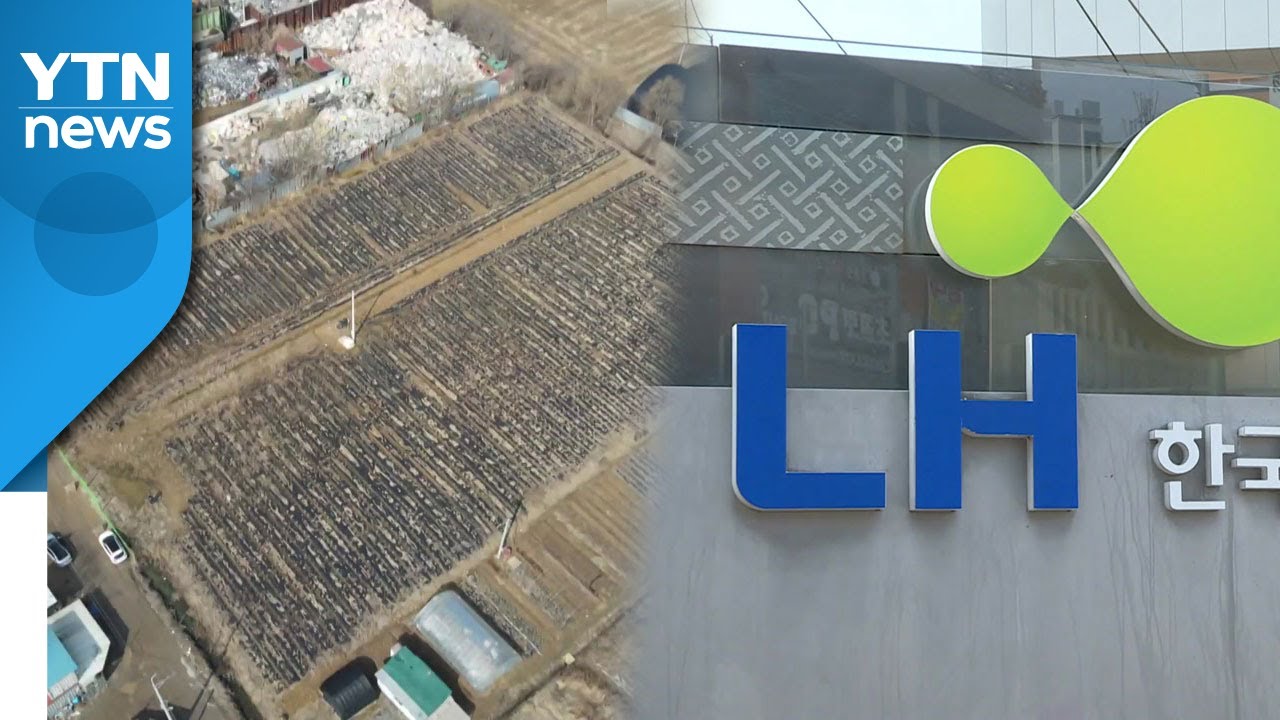 [인터뷰투데이] 'LH 사태' 오늘 1차 조사 발표 '촉각' / YTN