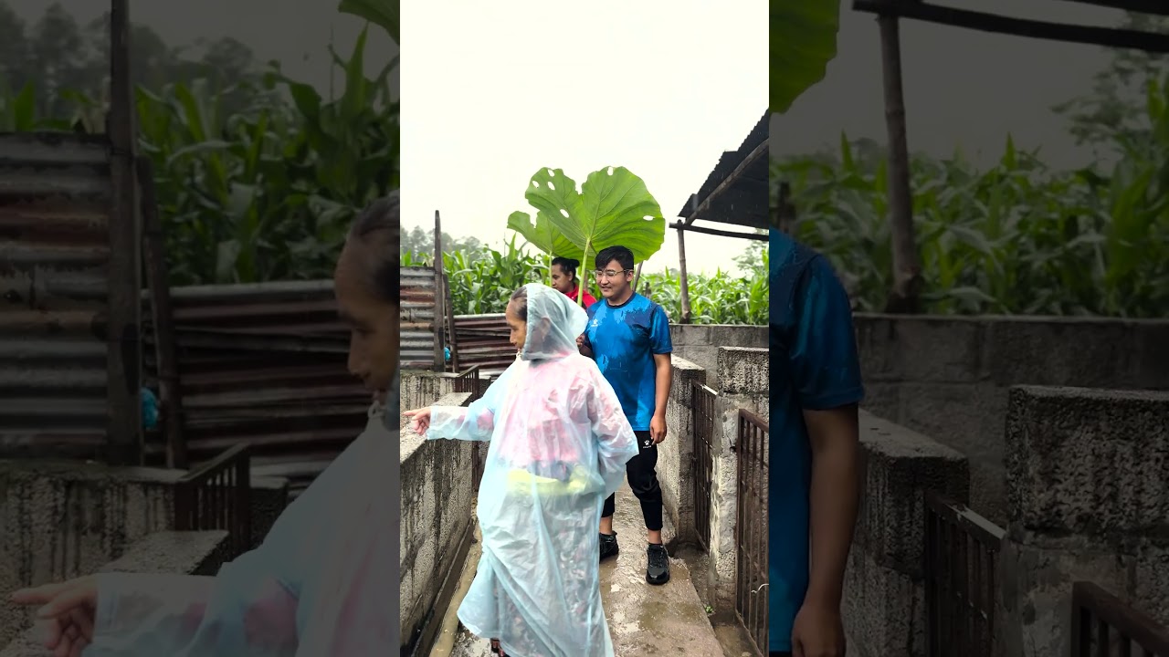 Natural Umbrella #familyvlog #piglove #minivlog