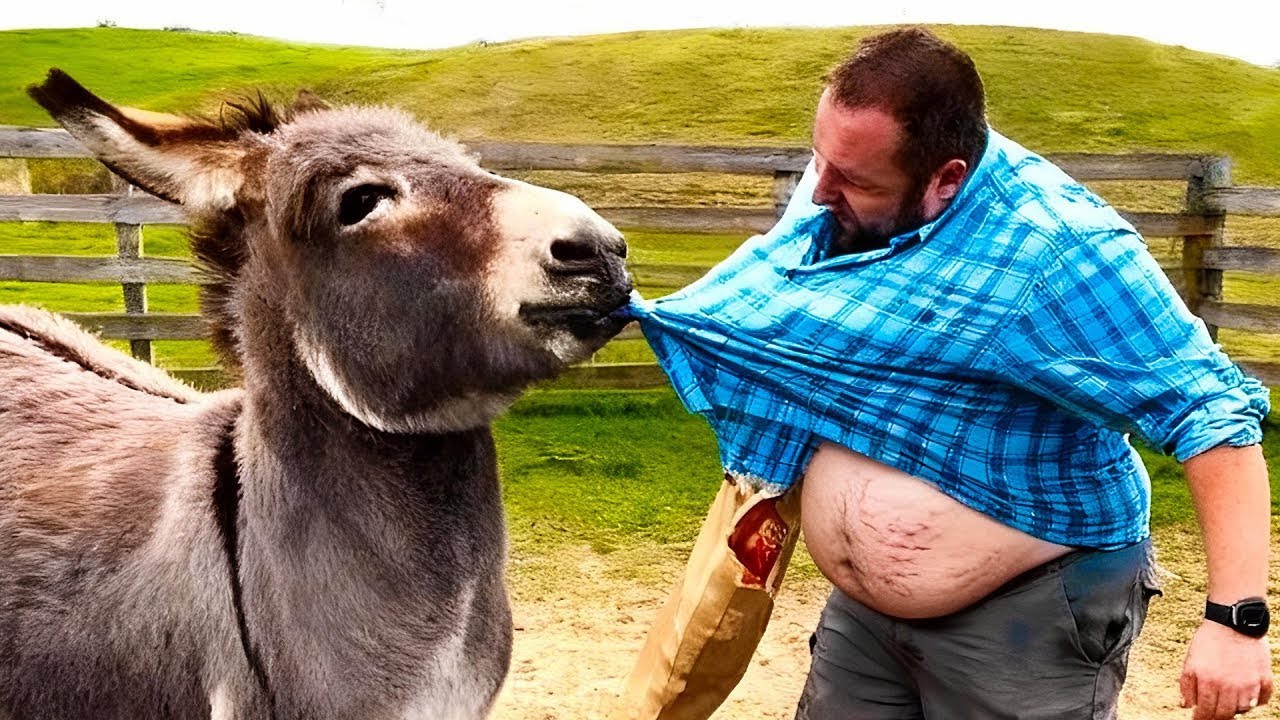 Exploring Crazy Animals Caught Doing Hilarious Things With Human🤣