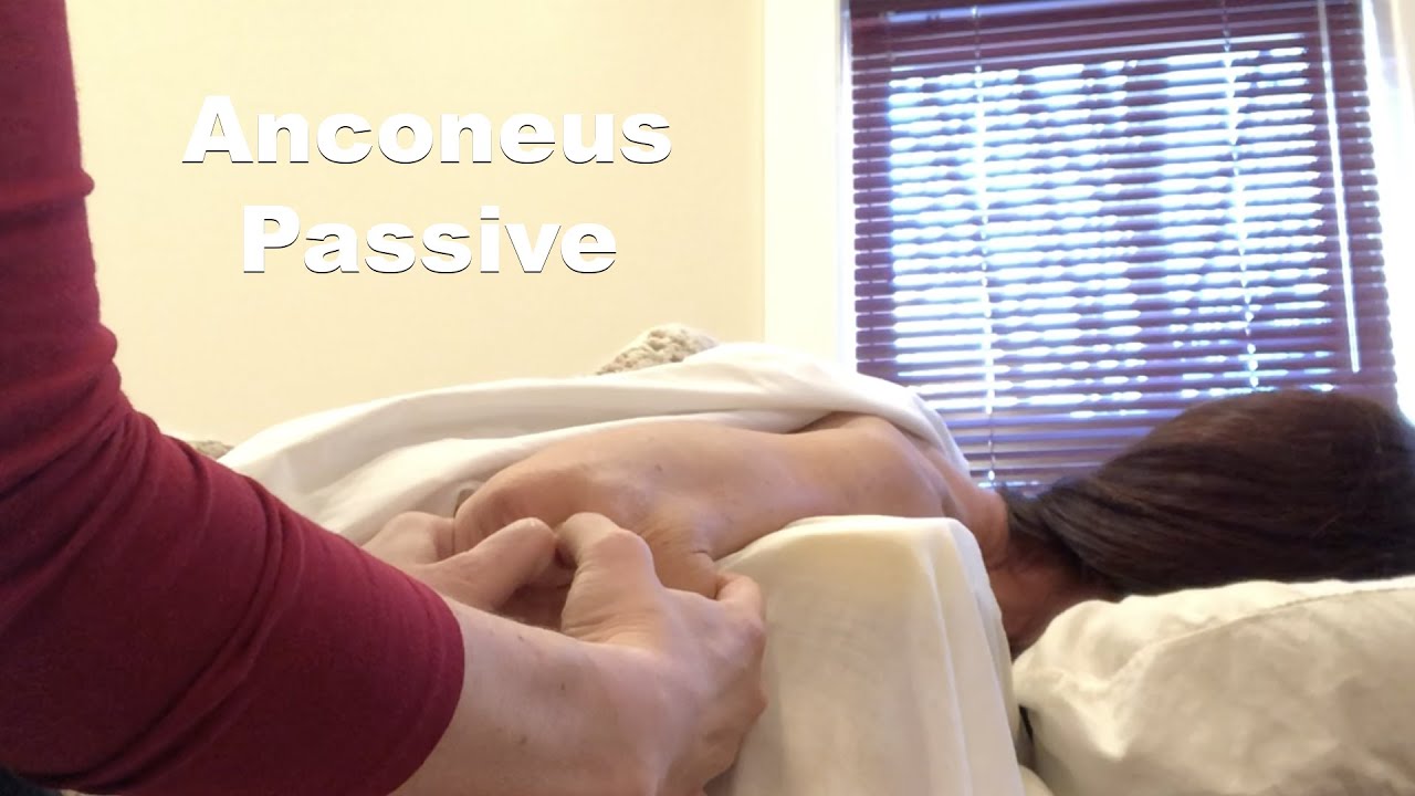 Anconeus Passive