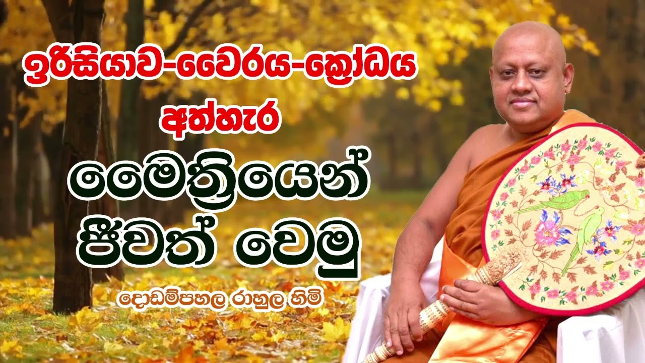 ඉරිසියා-වෛර- ක්‍රෝධ අත්හරිමු. Dodampahala Rahula Thero | දොඩම්පහළ රාහුල හිමි