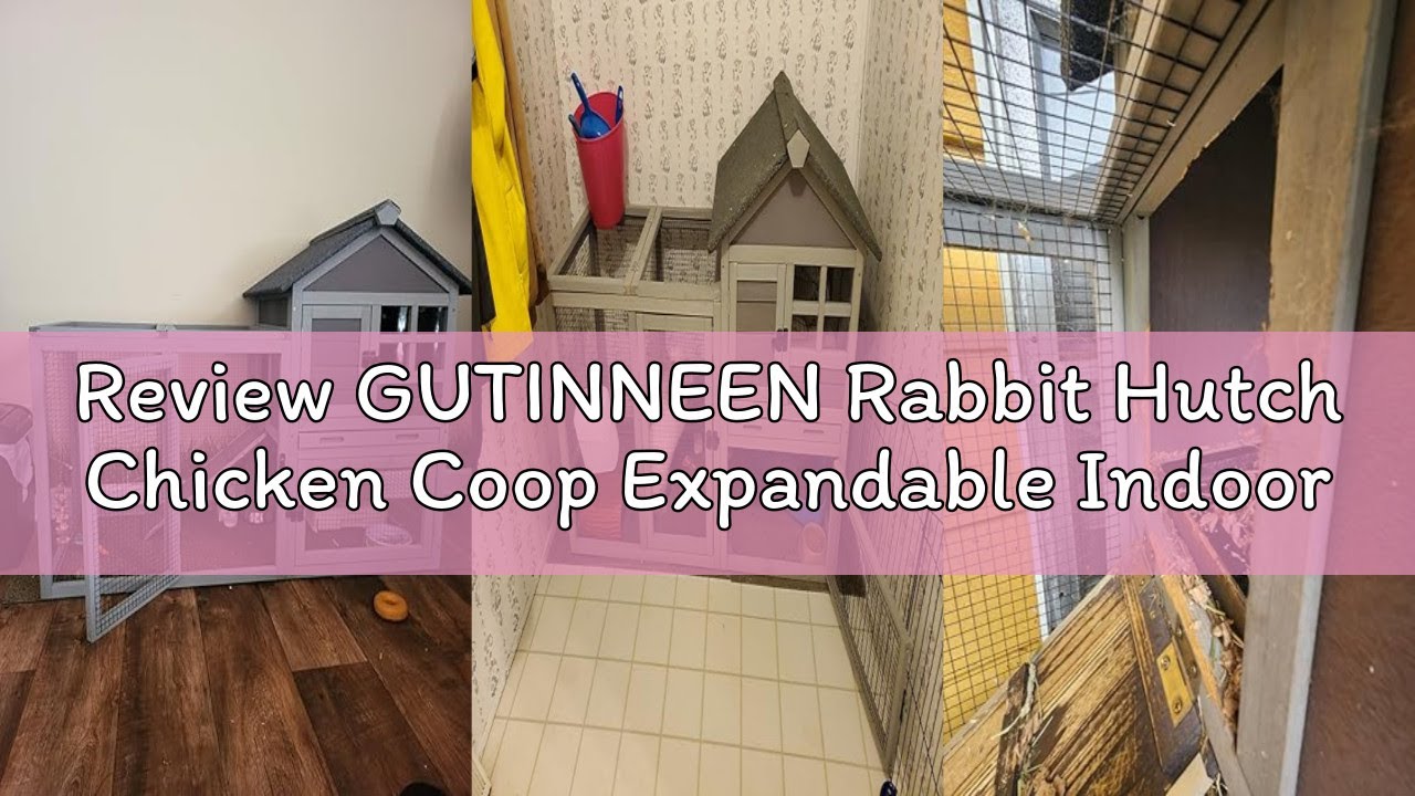 Review GUTINNEEN Rabbit Hutch Chicken Coop Expandable Indoor Bunny Cage Outdoor Guinea Pig Cage with