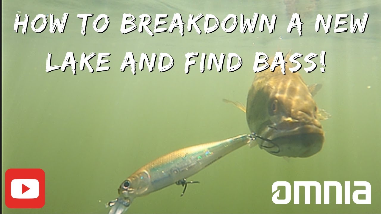 How to Breakdown new lakes for big bass using the Omnia Fishing App