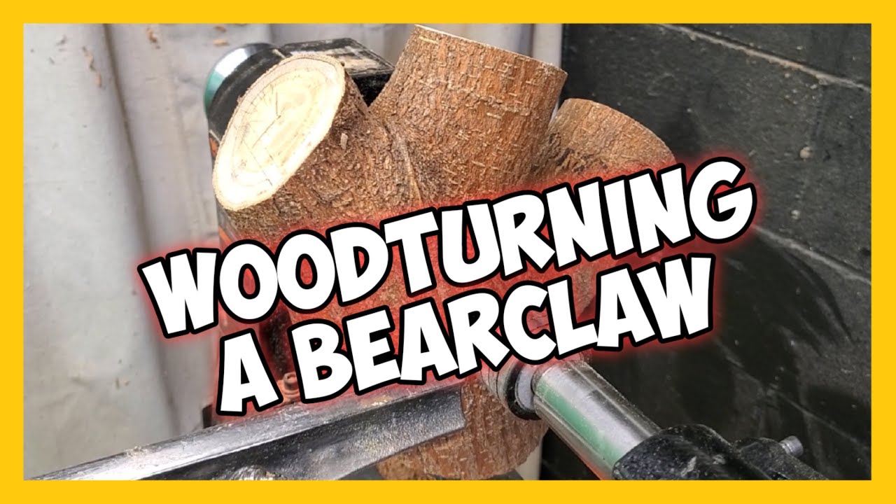 Woodturning a Bear Claw || Small Basement Shop