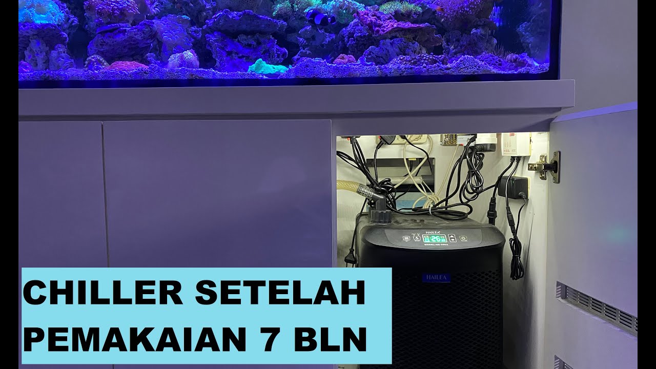 REVIEW CHILLER HAILEA HK-300A SETELAH 7 BULAN DI AQUARIUM AIR LAUT
