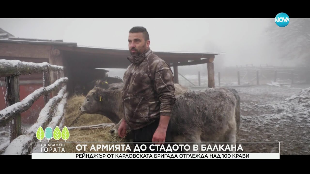 Да хванеш гората (12.02.2023)