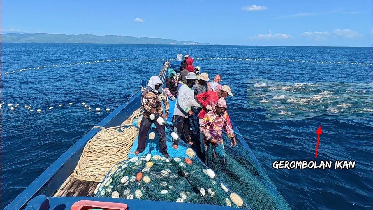 Pukat cincin, Nelayan Indonesia Dapat Banyak Ikan, luar biasa hasil tangkapan nelayan Indonesia