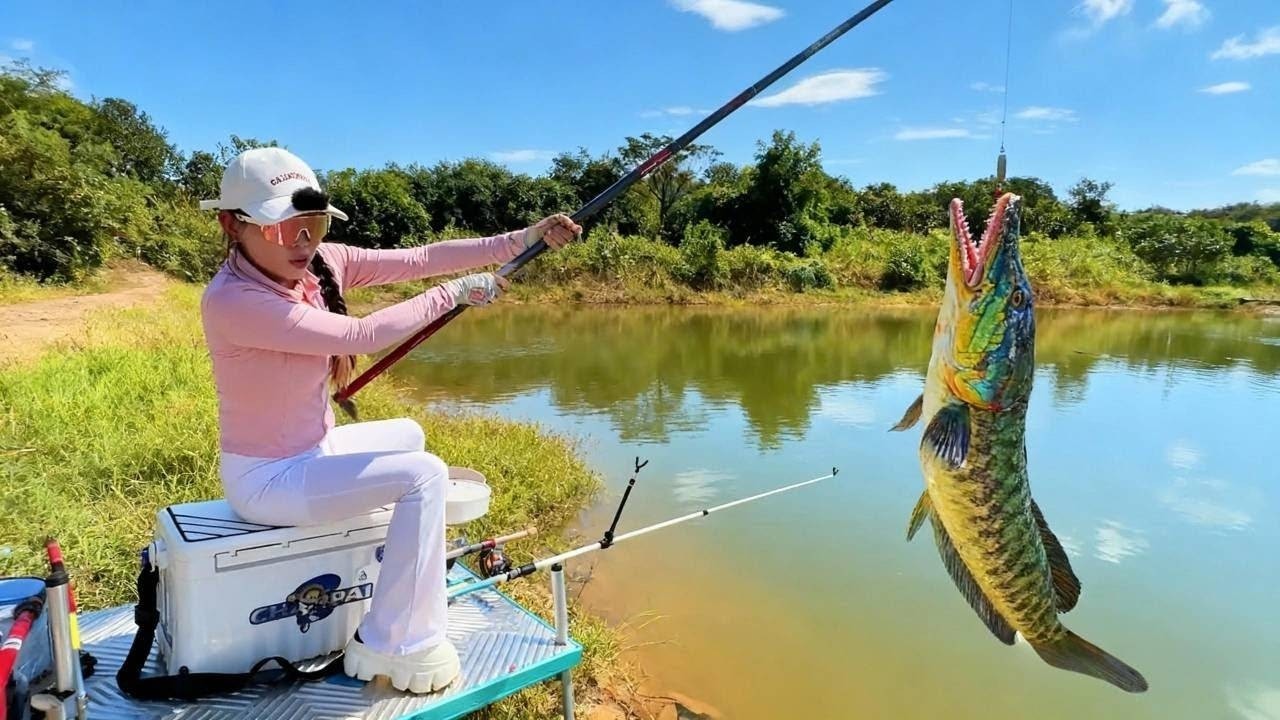 美女直奔收費1800元的天價釣場！目標直指水中巨物鱷雀鱔，釣起一條就能免單？這波操作值了！【女钓友微微】