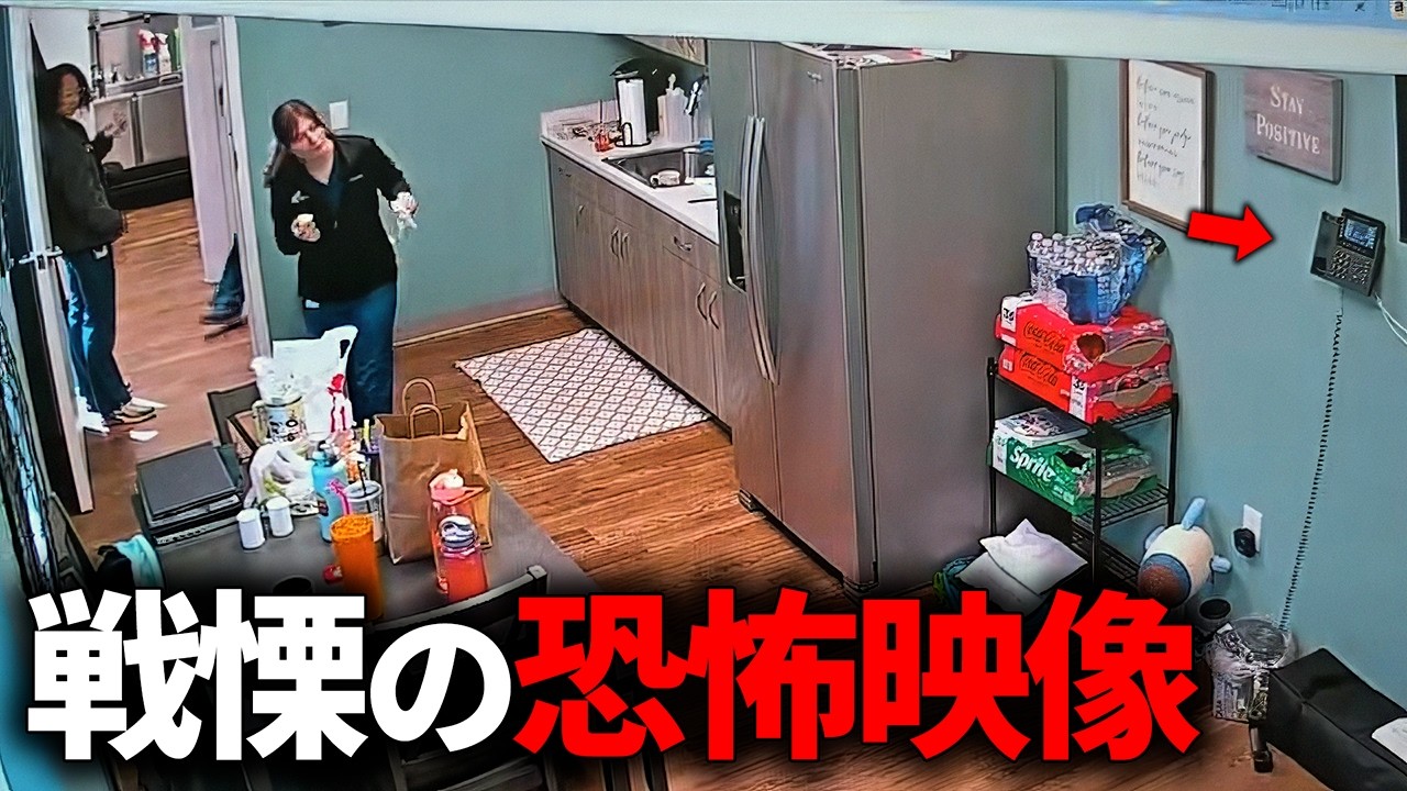 【獣医の怪体験】カメラが偶然記録した不気味な映像 5選