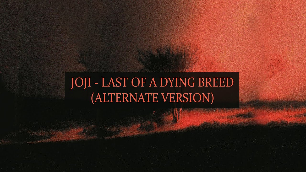 Joji x omoeba - Last Of A Dying Breed