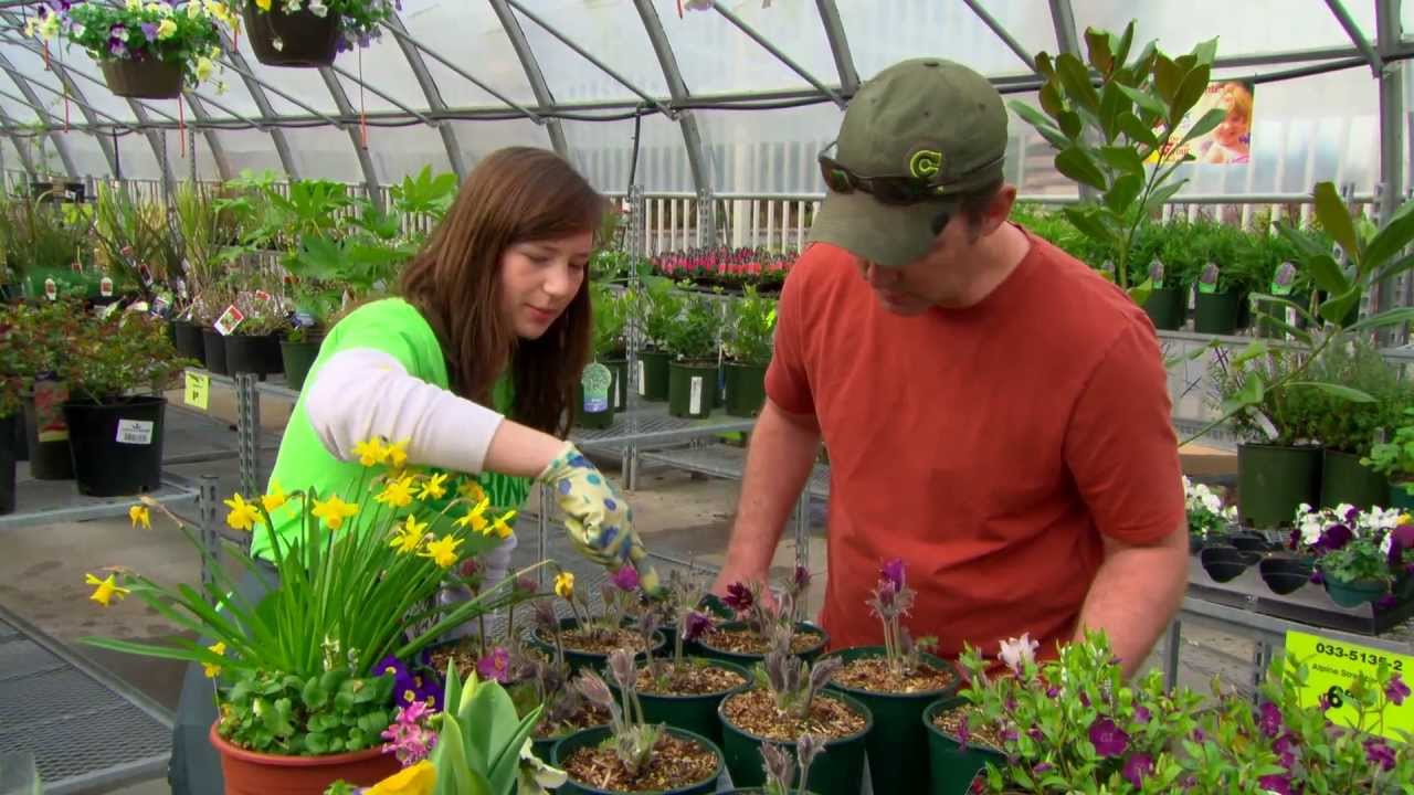 Canadian Tire Garden Centre
