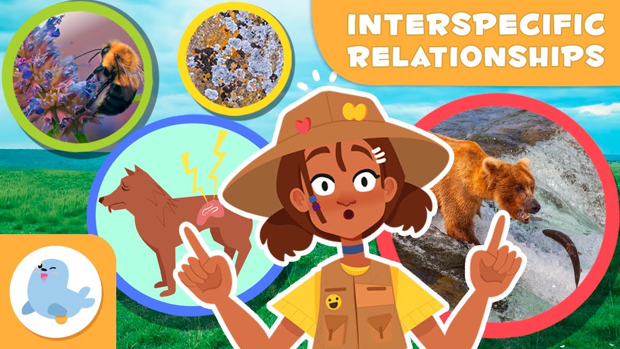 INTERSPECIFIC RELATIONSHIPS for Kids 🐻🐟 Predation, Parasitism, Mutualism, Symbiosis 🐦🐮