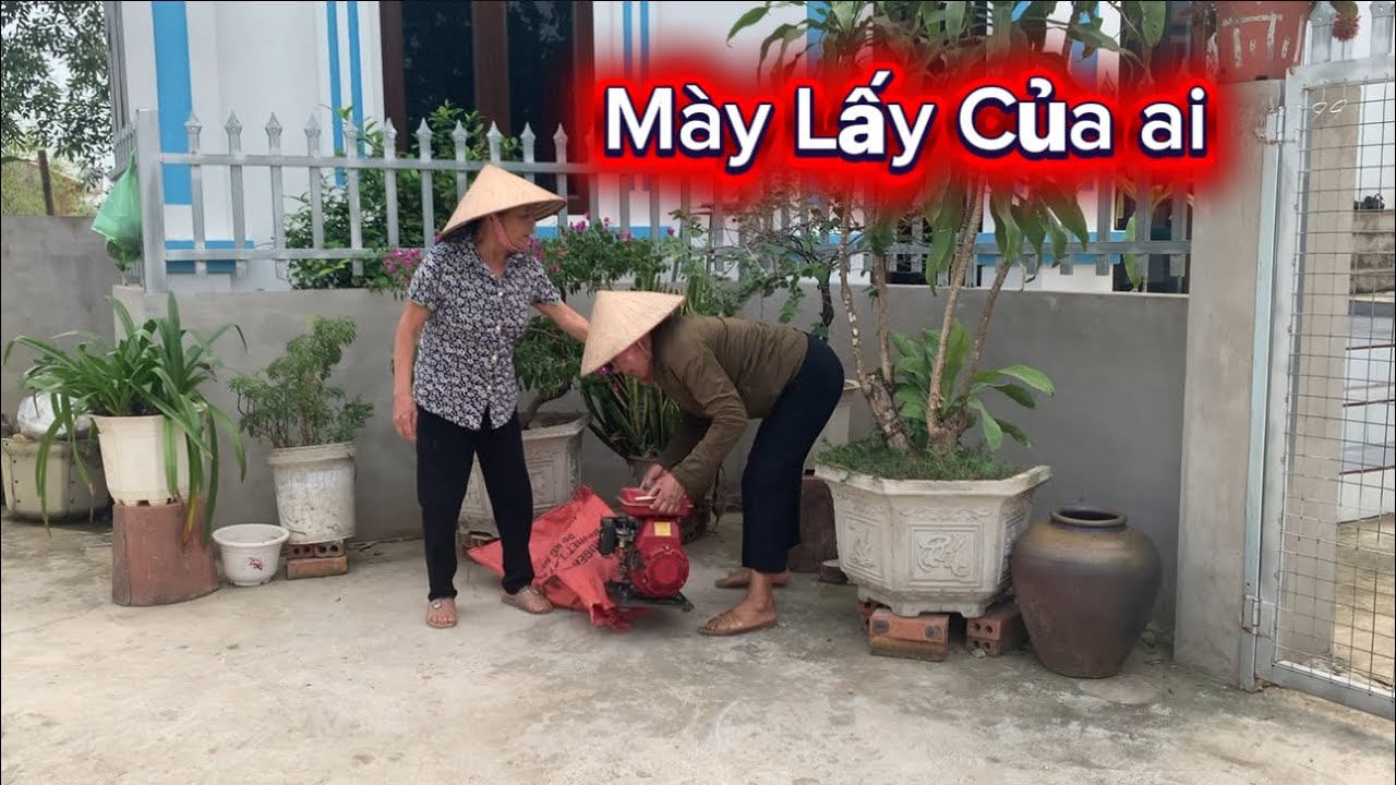 Hoa Ra mu hải Lại Lam Thật Rôit