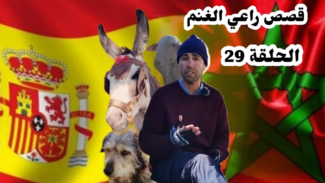 حلقة 29: القصة اللي ماعمري ننساها... بعد سنين اكتشف ان امه...؟