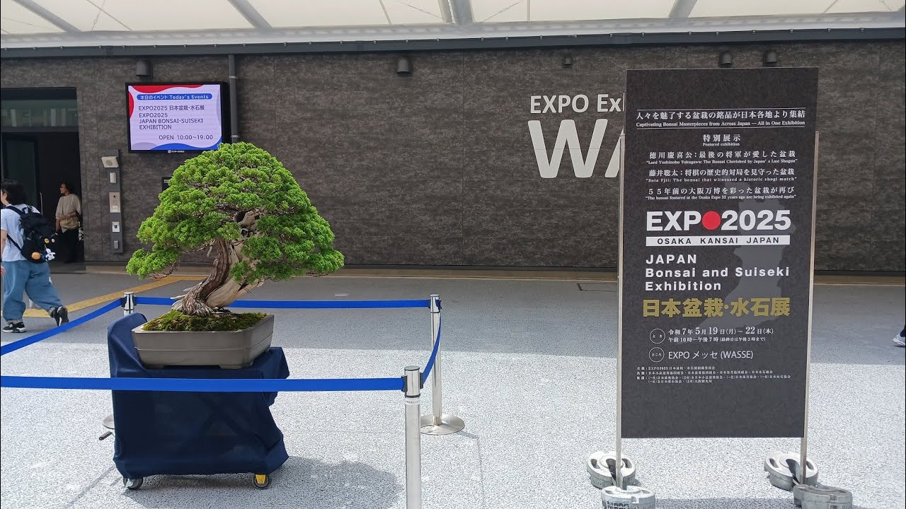 EXPO2025 日本盆栽水石展