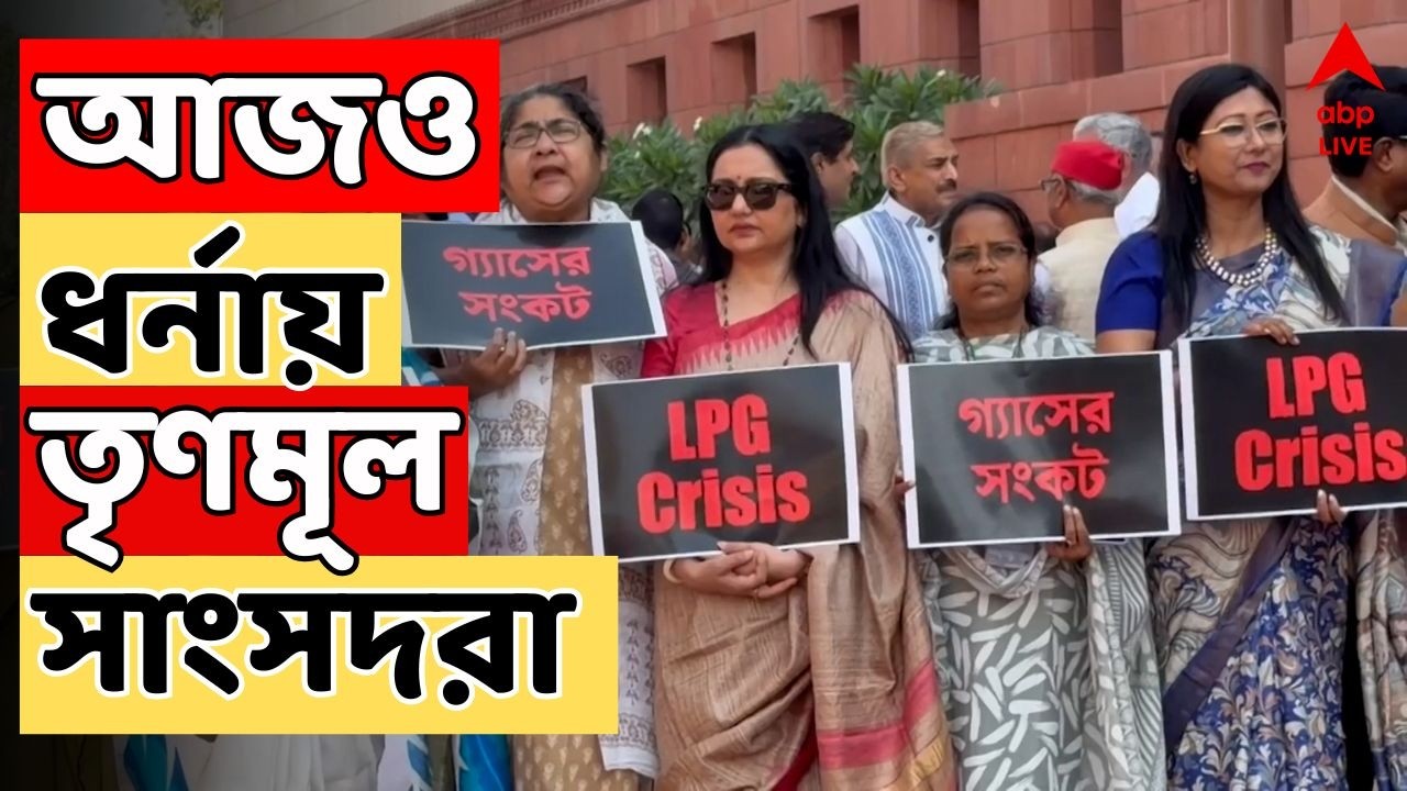 TMC Protest: গ্যাস সঙ্কটে সংসদ ভবনের সামনে আজও ধর্নায় তৃণমূল সাংসদরা | Parliament Chaos LIVE
