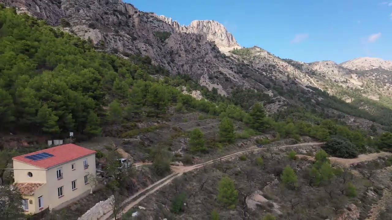 The environment of our beautiful finca