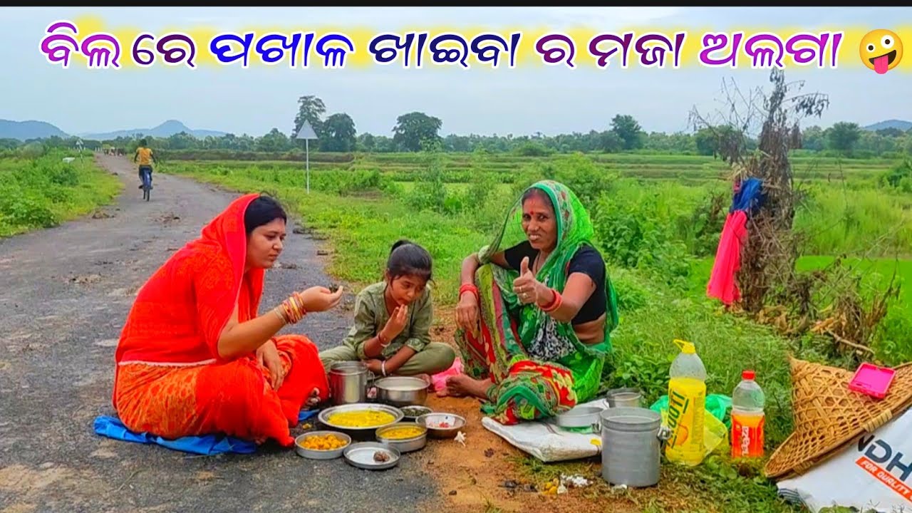 ବିଲ ରେ ପଖାଳ ଖାଇବା ର ମଜା ଅଲଗା || Pakhala Bhata Eating😛@Villageeatingodia