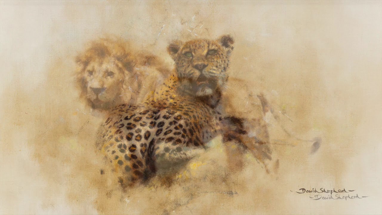 David Shepherd: The Power of Nature | Our 2021 Collection Unveiled