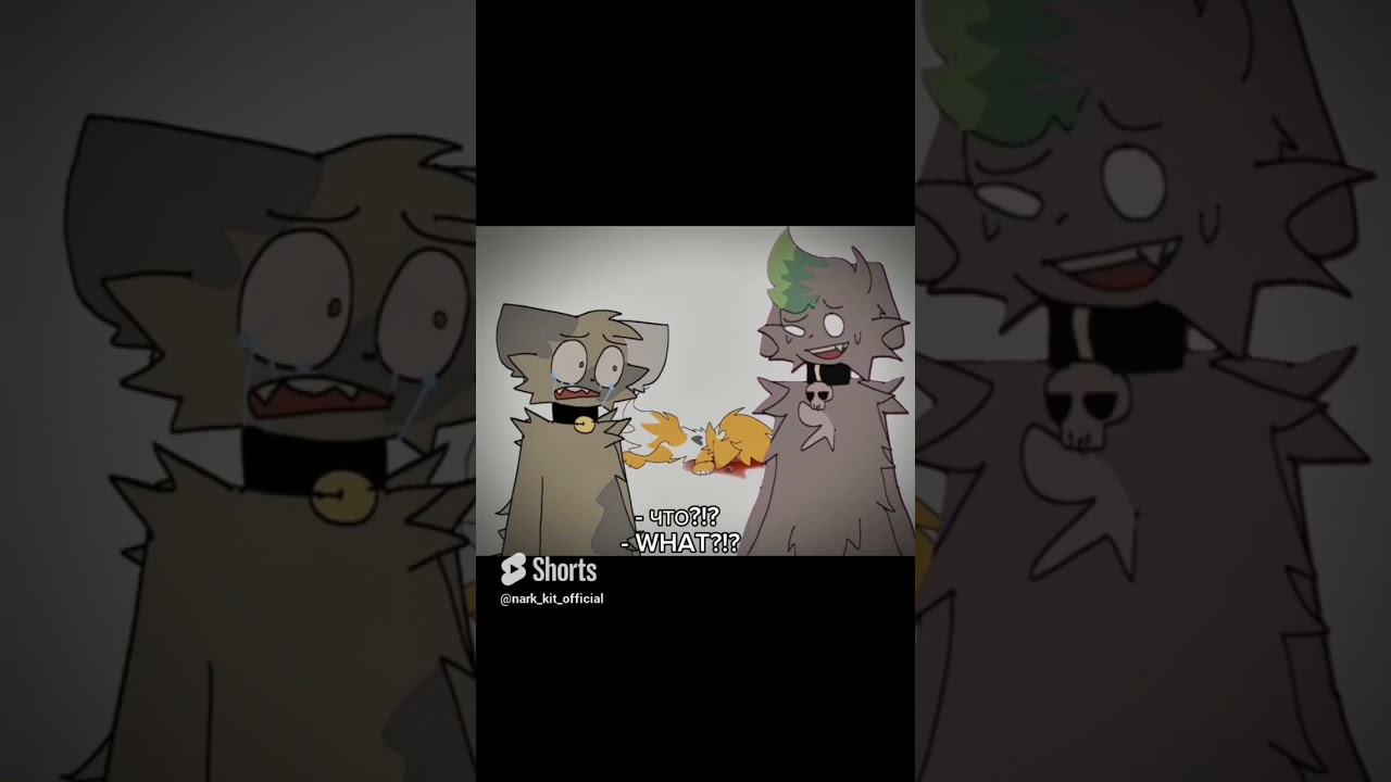 удаленые видео @U_OQQQQ (старые )