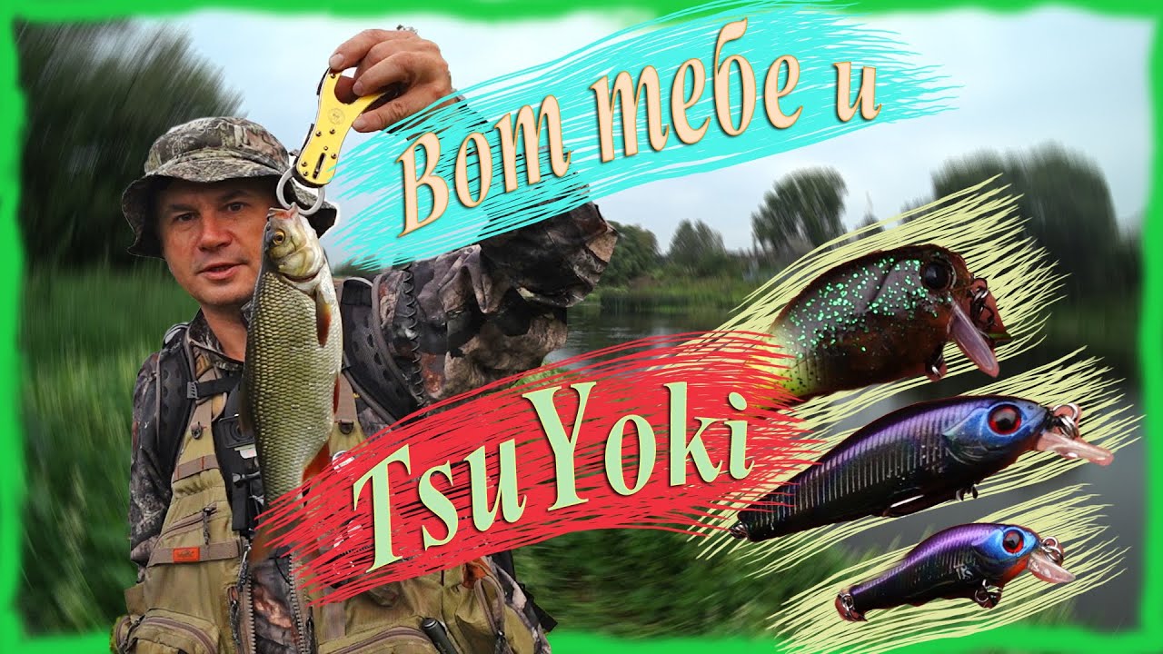 Вот тебе и TsuYoki. Ловля белого хищника на воблеры. И не только