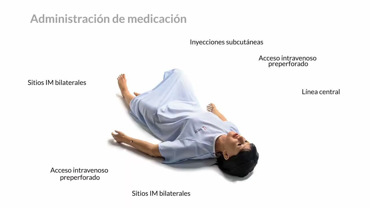 Nursing Anne Simulator (Clinical Care Simulator) - Características clínicas