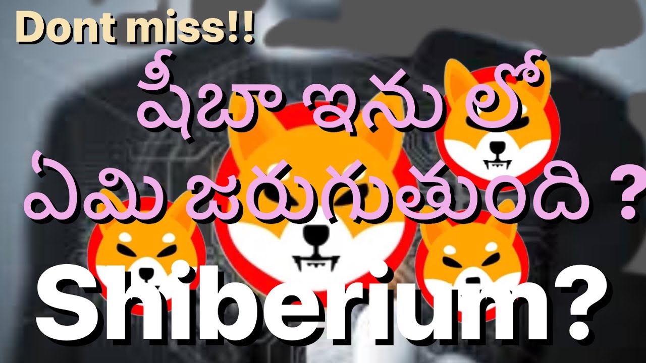 What happend to Shiba Inu after Shiberium @telugucryptouniverse