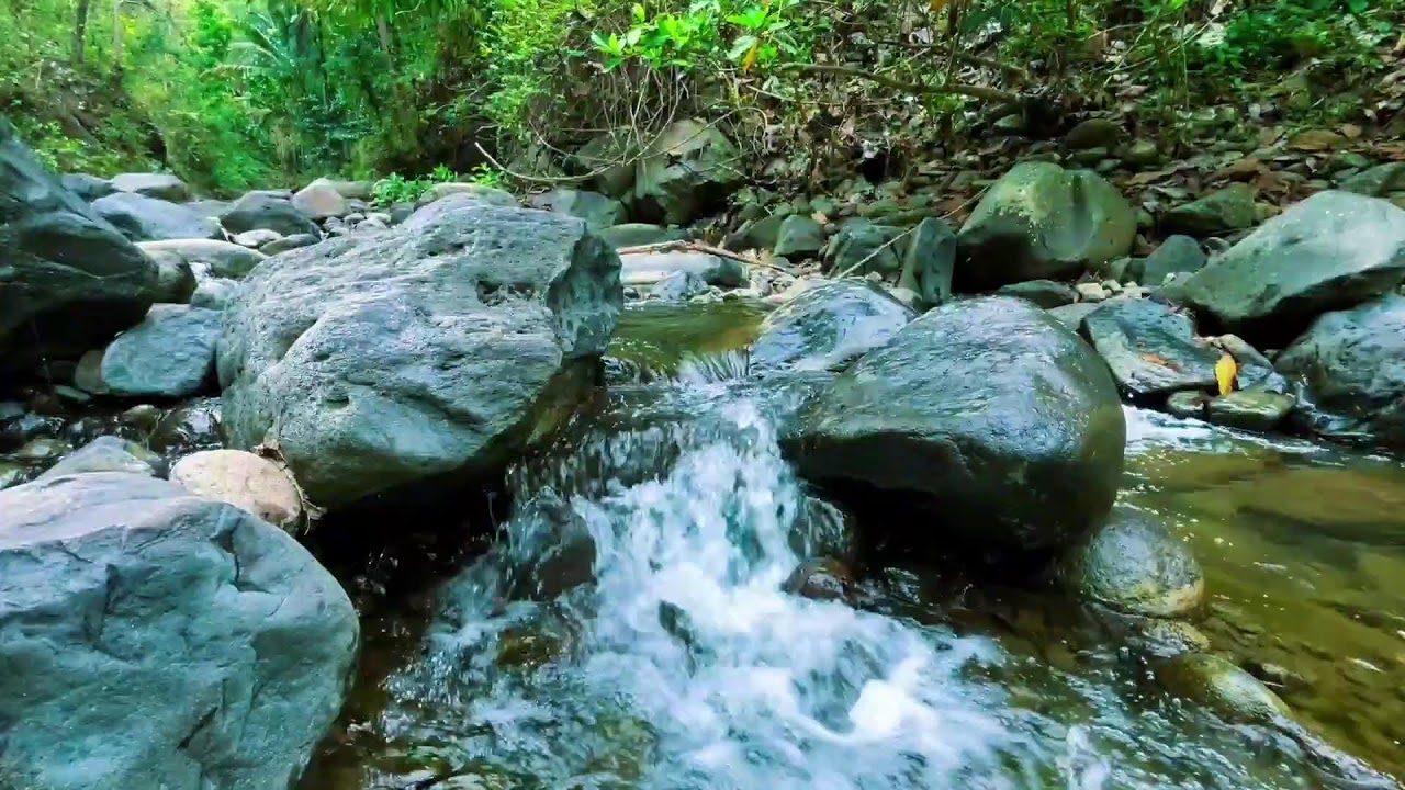 Flowing River Sounds for Sleep and Relaxation | Peaceful Nature Ambience for Meditation