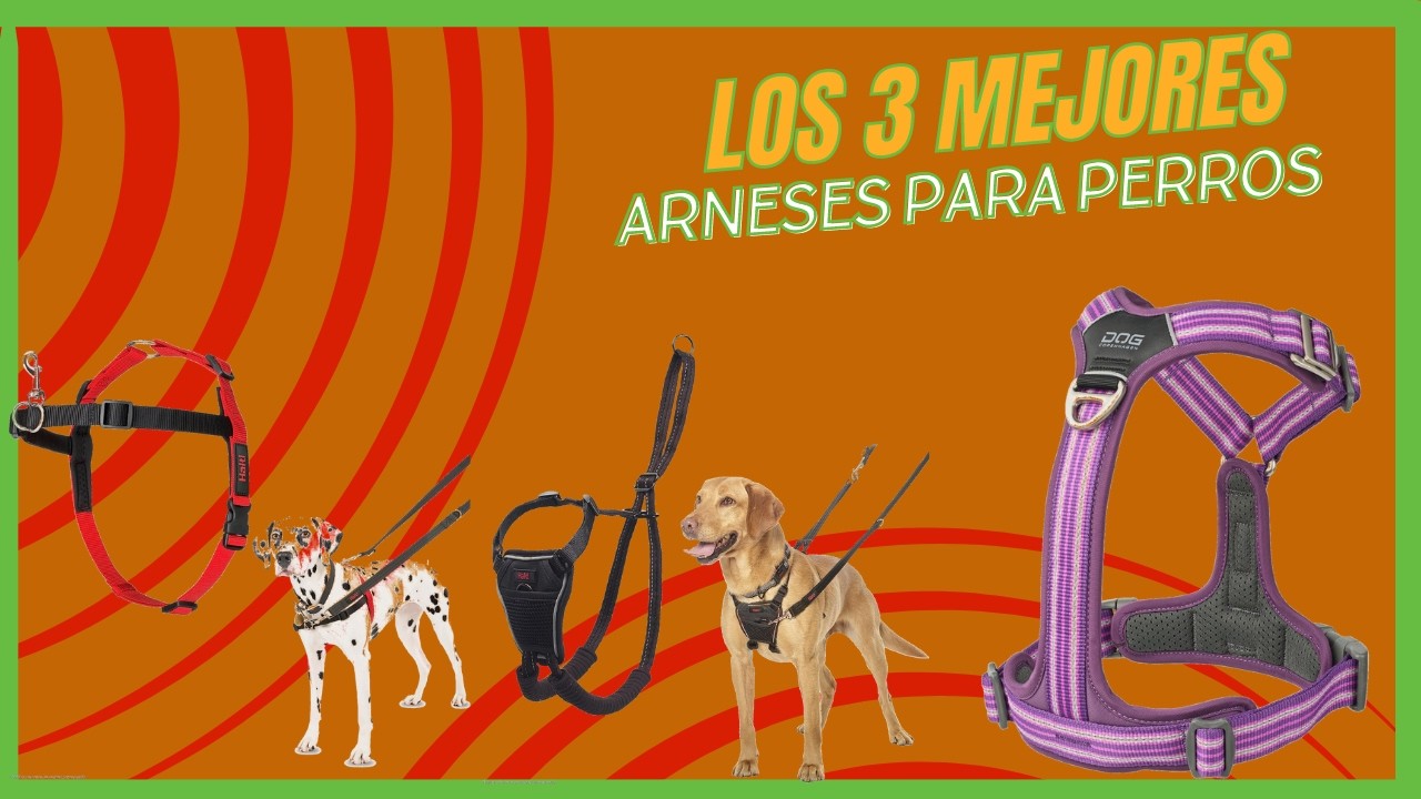 😮 Los 3 Mejores ARNESES Para PERROS de Amazon 2024   Correas Para Perro