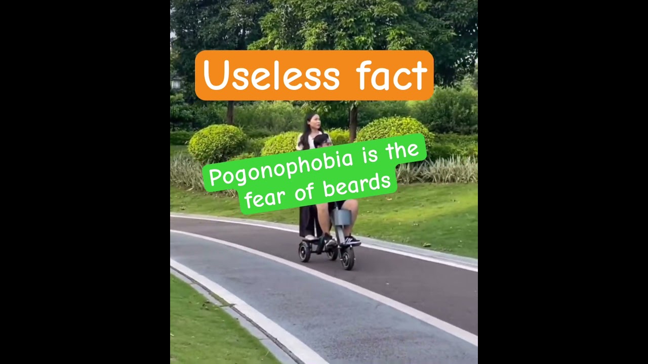 Pogonophobia is the fear of beards