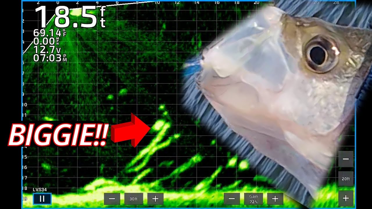 LIVESCOPE FOOTAGE - BIG SPRING CRAPPIE – with JIGS!!