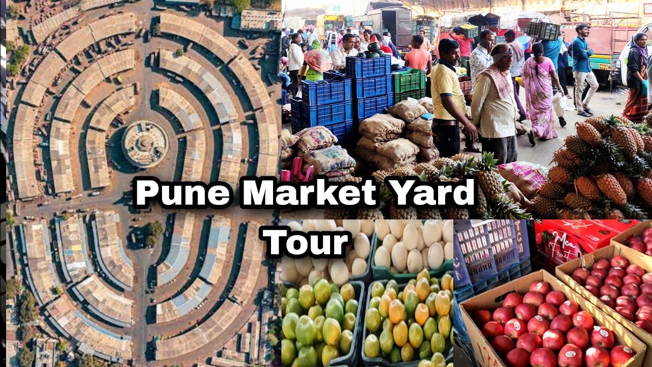 Pune Market Yard Tour (मराठी) | पुणे मार्केट यार्ड | Gultekdi Market | Fruit Market Yard Pune | Pune