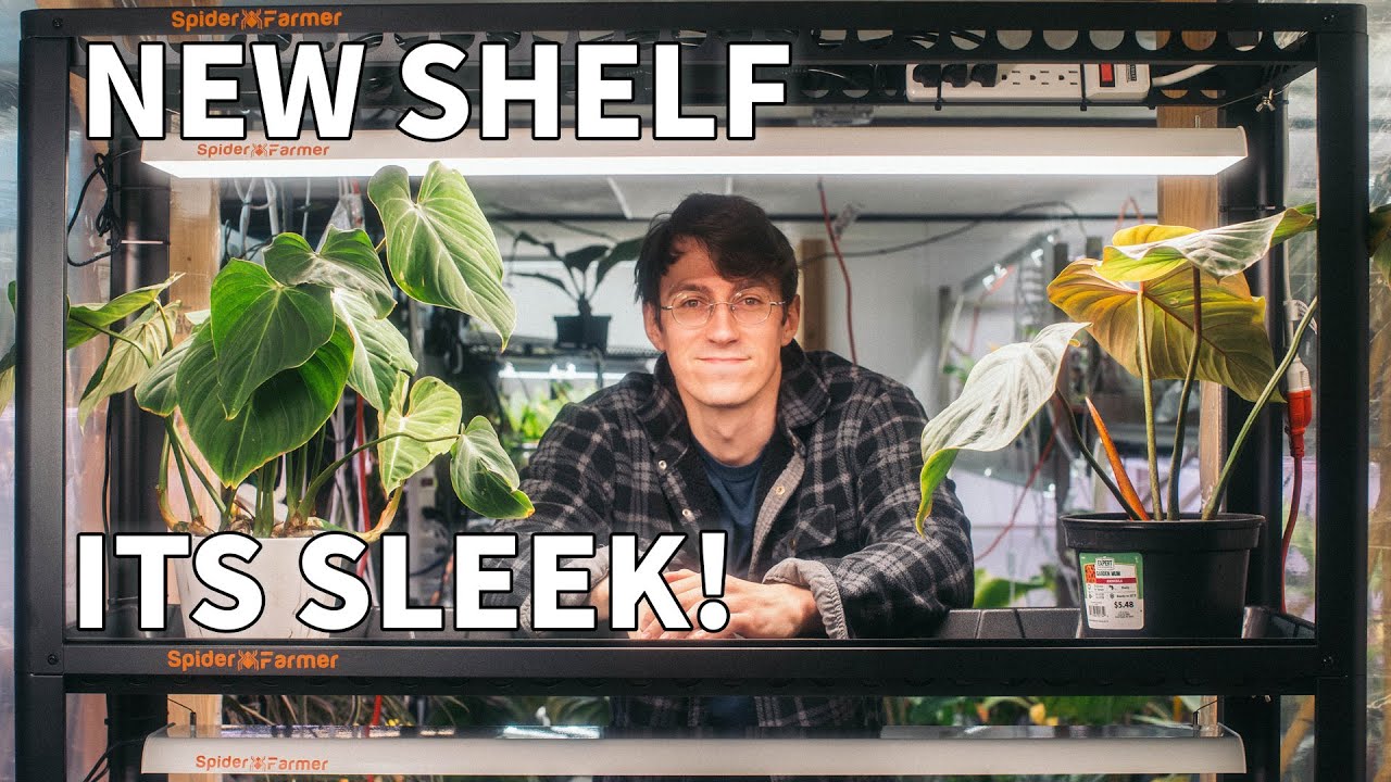 Wiring My Spider Farmer SF600 Grow Shelf Like A PC Build